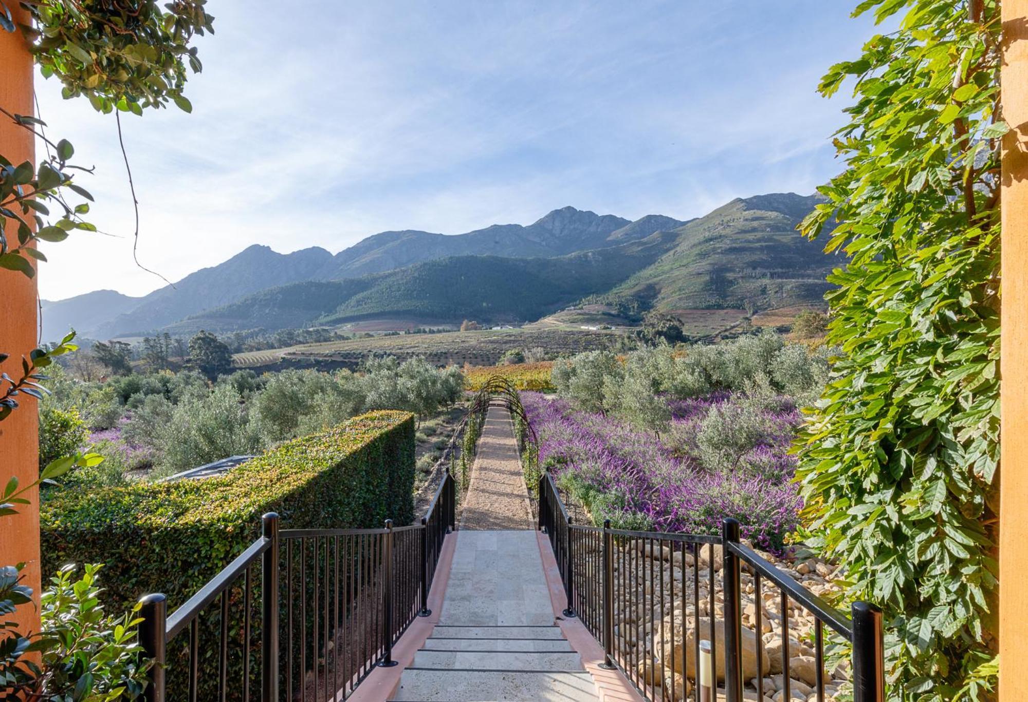 La Residence Franschhoek Exterior photo